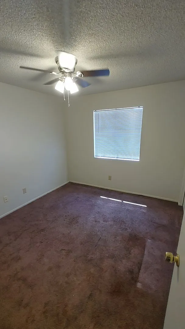 Three Bedroom Two Bath House — Photo 4