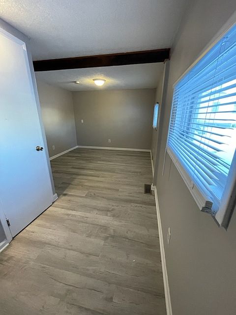 spare bedroom!