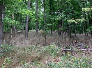 Health St, Dansville, NY 14437