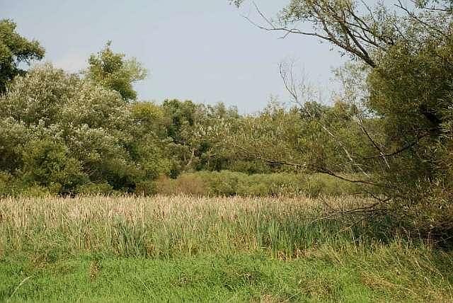 2nd image of 19505 River Rd