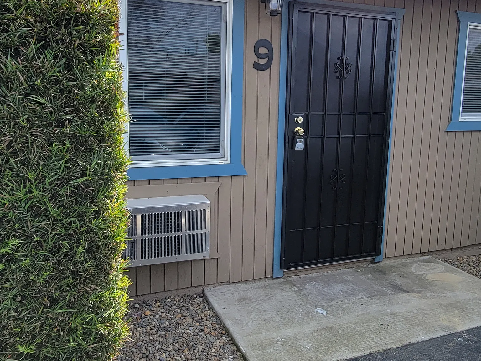 1 bed, $1,125 — Photo 4