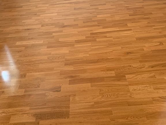 5th image of 6531 52nd Ave #1