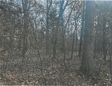 000 Us Hwy 65, Walnut Shade, MO, 65771