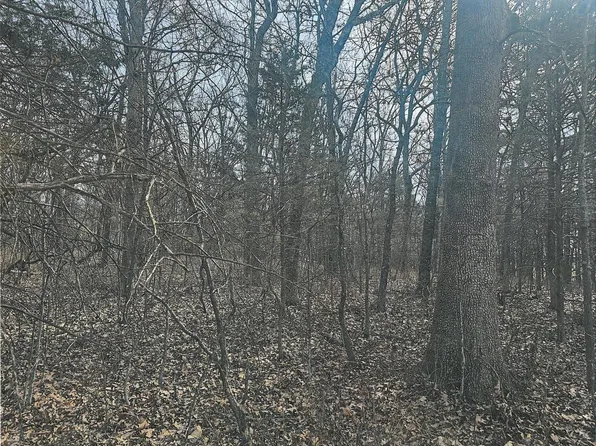 000 Us Hwy 65, Walnut Shade, MO 65771