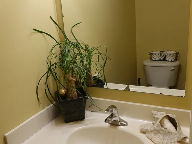 Rookery Ct — Photo 12