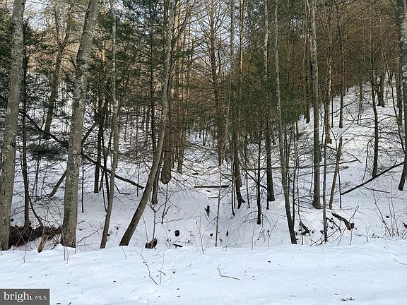 5th image of Polecat Hollow Rd