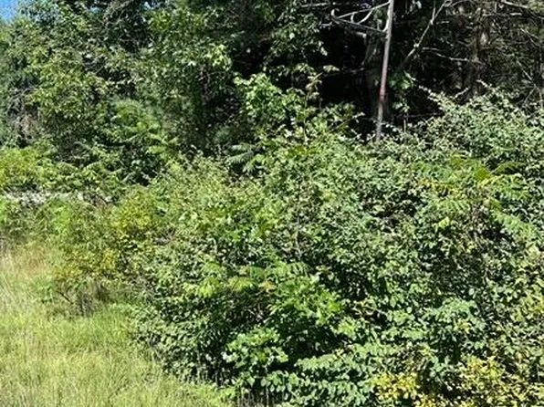 Map27 Lot4 Main Street, Waterboro, ME 04030