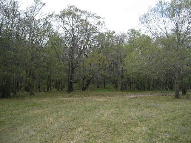 2nd image of 2007 Eagle Nest