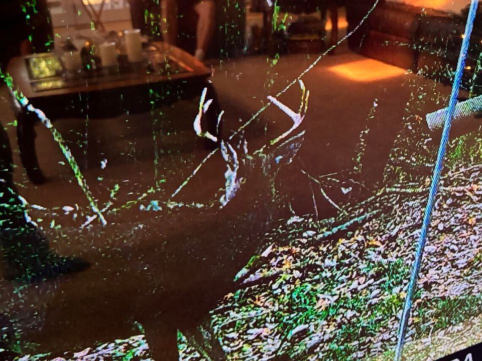 1st image of 50 Oakdale Church Rd