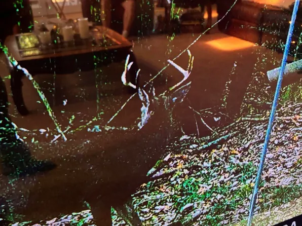 50 Oakdale Church Rd, Seminary, MS 39479