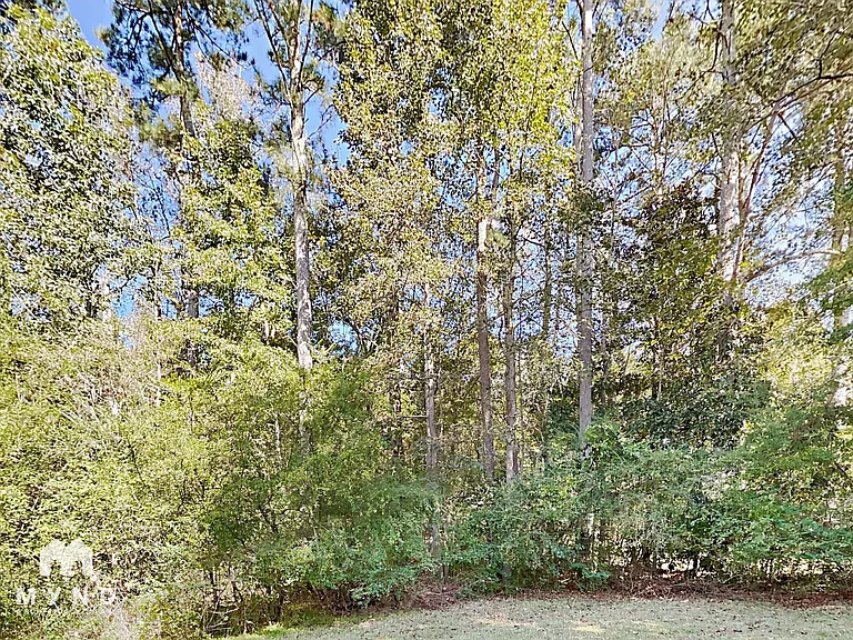 4521 Frank Aiken Rd — Photo 18