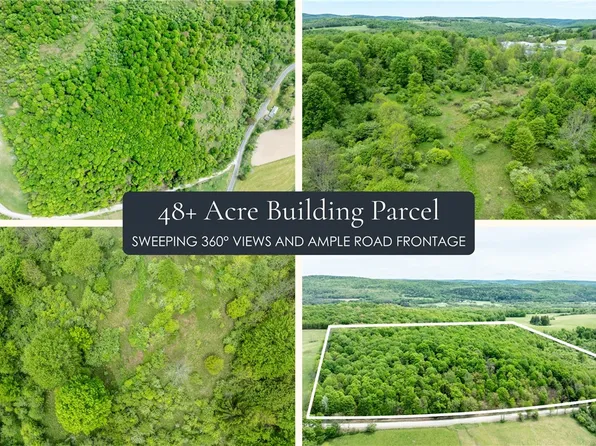 Bell Rd Lot 9, New Berlin, NY 13411