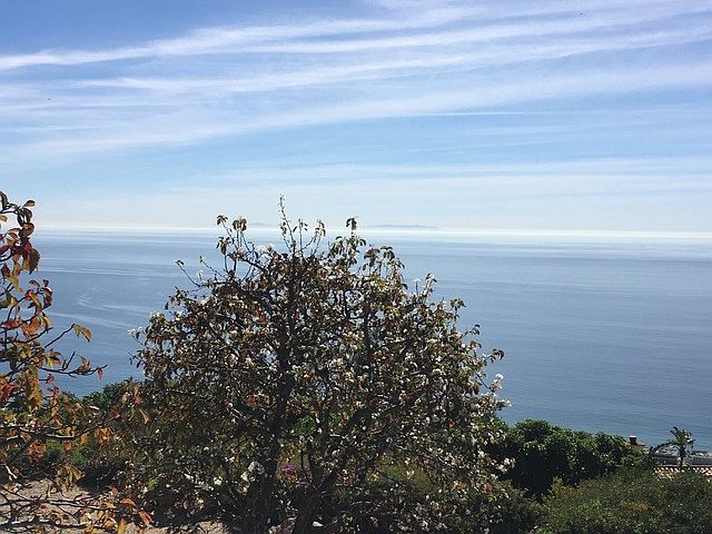 1st image of 3231 Rambla Pacifico