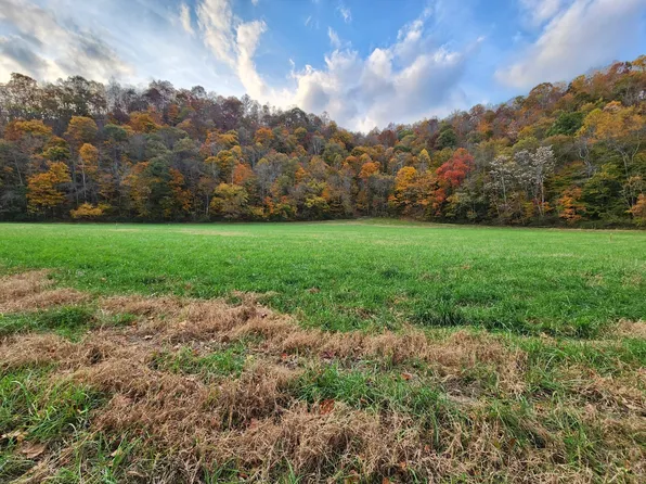 0 Pine Lick Rd Lot 2, Whitleyville, TN 38588