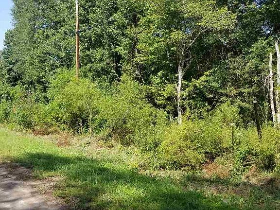 3rd image of 12 & 13 Birch Dr