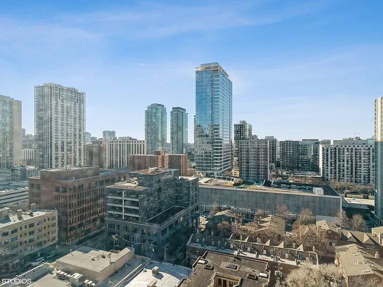 1221 N Dearborn St #207N — Photo 17
