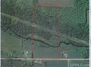 Tbd Slapneck Rd, Chatham, MI 49816