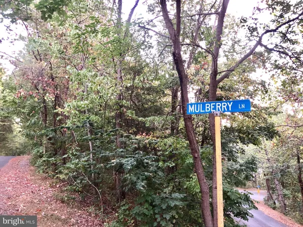 Willow Ln, Mount Jackson, VA 22842