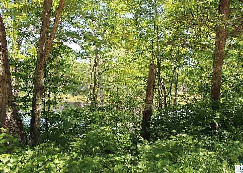 1st image of 0 Webb Creek Dr