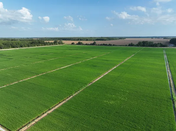 Dry Bayou Rd, Crowder, MS 38622