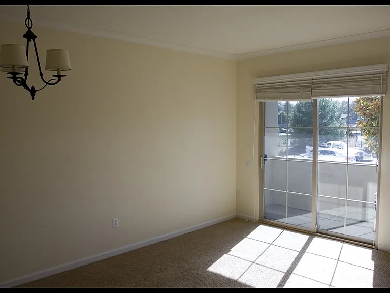 1315 Alma Ave #141 — Photo 5