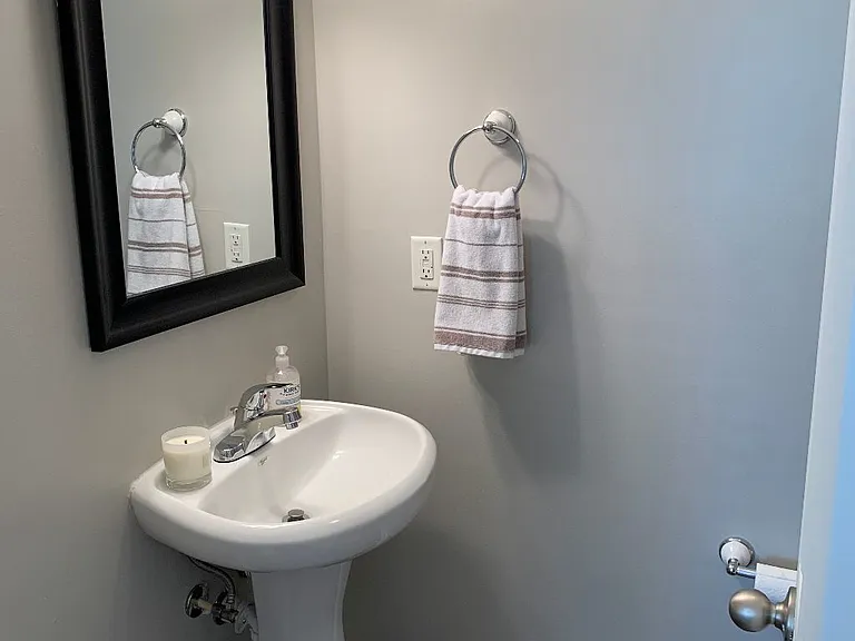 3233 Harpeth Springs Dr — Photo 5