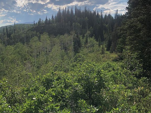3rd image of TBD Beaver Canyon Drive