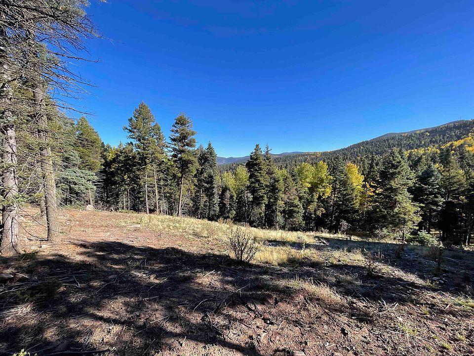 2nd image of Lot 373 Vail Loop