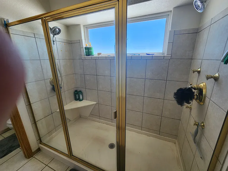 Master shower