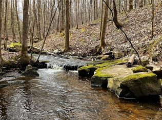 0 Lewis Rd N #41, Blossvale, NY 13308