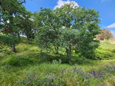 2922 Cascade Ln, Valley Springs, CA, 95252