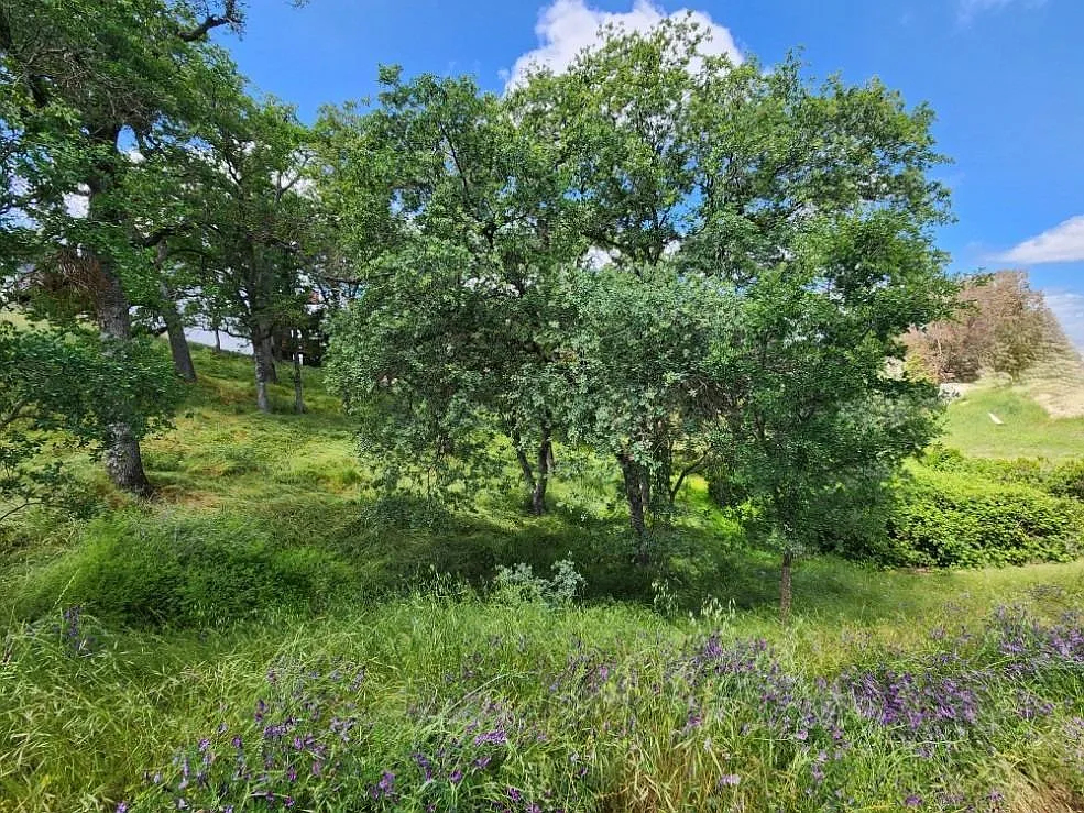 2922 Cascade Ln photo 1