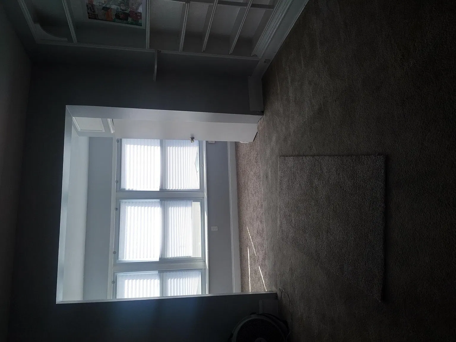1 bed, $1,250 — Photo 4