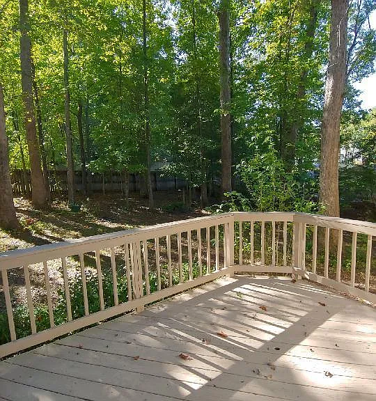 14207 Spotted Coat Ct — Photo 16