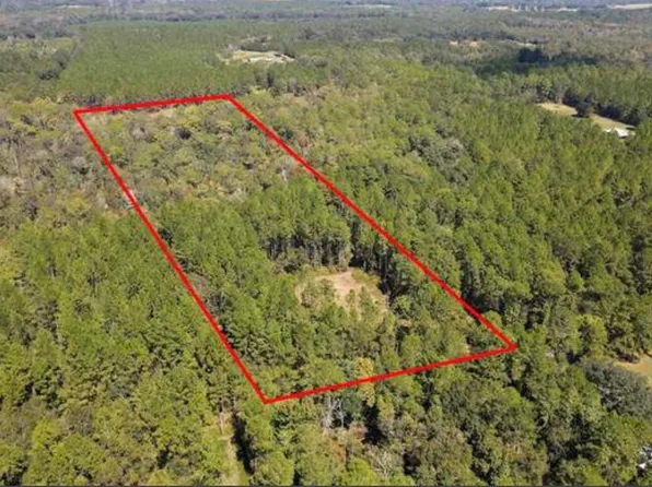 NW 202nd Ave, Alachua, FL 32615