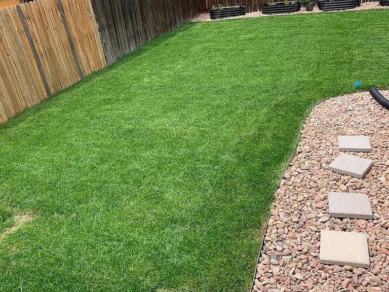 Spacious backyard with new grass