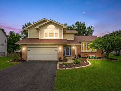 167 Forestview Ct, Aurora, IL, 60502