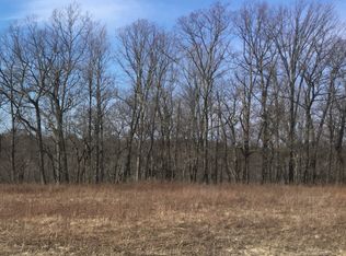Lag Cabin Lane Parcel #B, Clyde Twp, MI 48049