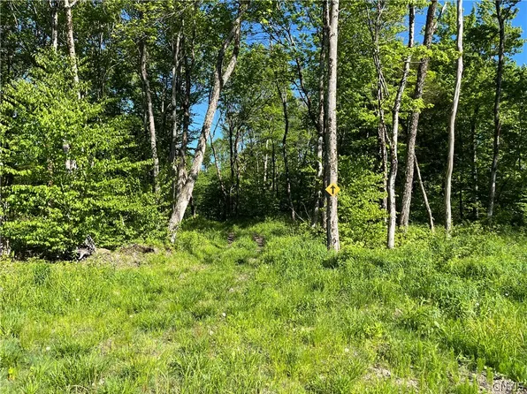 0 County Route 17 Lot 8, Redfield, NY 13437