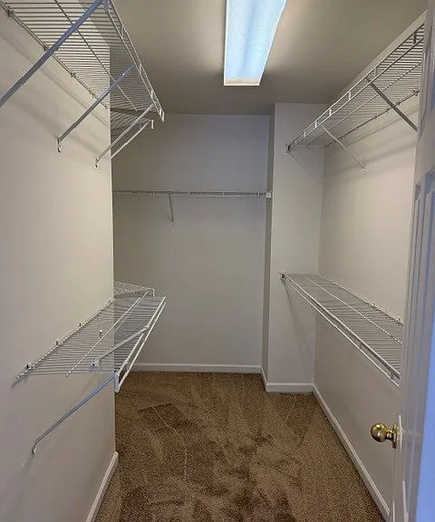 127 Honey Creek Ln — Photo 11