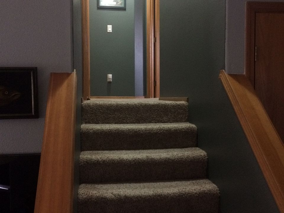 New carpet/paint throughout
