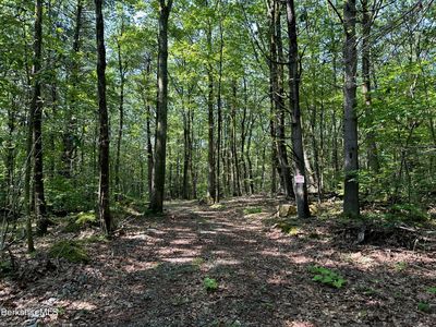 0 Cronk Rd, Sandisfield, MA, 01255