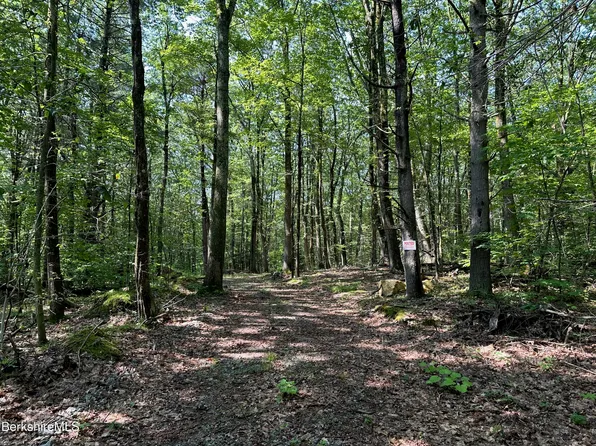 0 Cronk Rd, Sandisfield, MA 01255