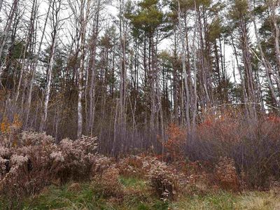 0 US Route 5 South, Norwich, VT, 05055