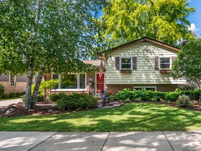 1136 N Walnut Ave, Arlington Heights, IL, 60004