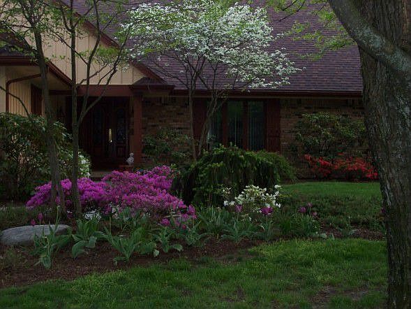 Professionally Landscaped