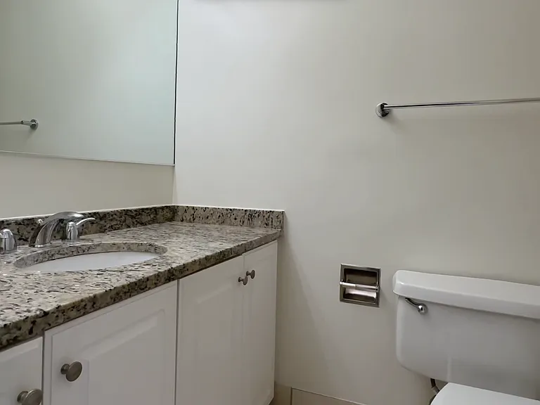 745 N Rush St #3203 — Photo 9