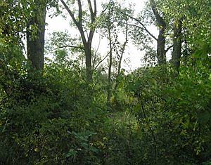 2nd image of 3200 Lima Center Rd