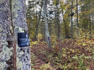 Tbd Grove St, Palisade, MN 56469