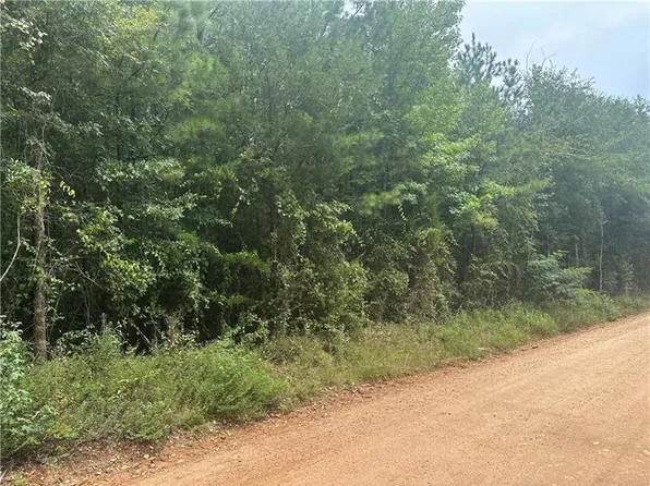 0 Lee Road 252, Salem, AL 36874